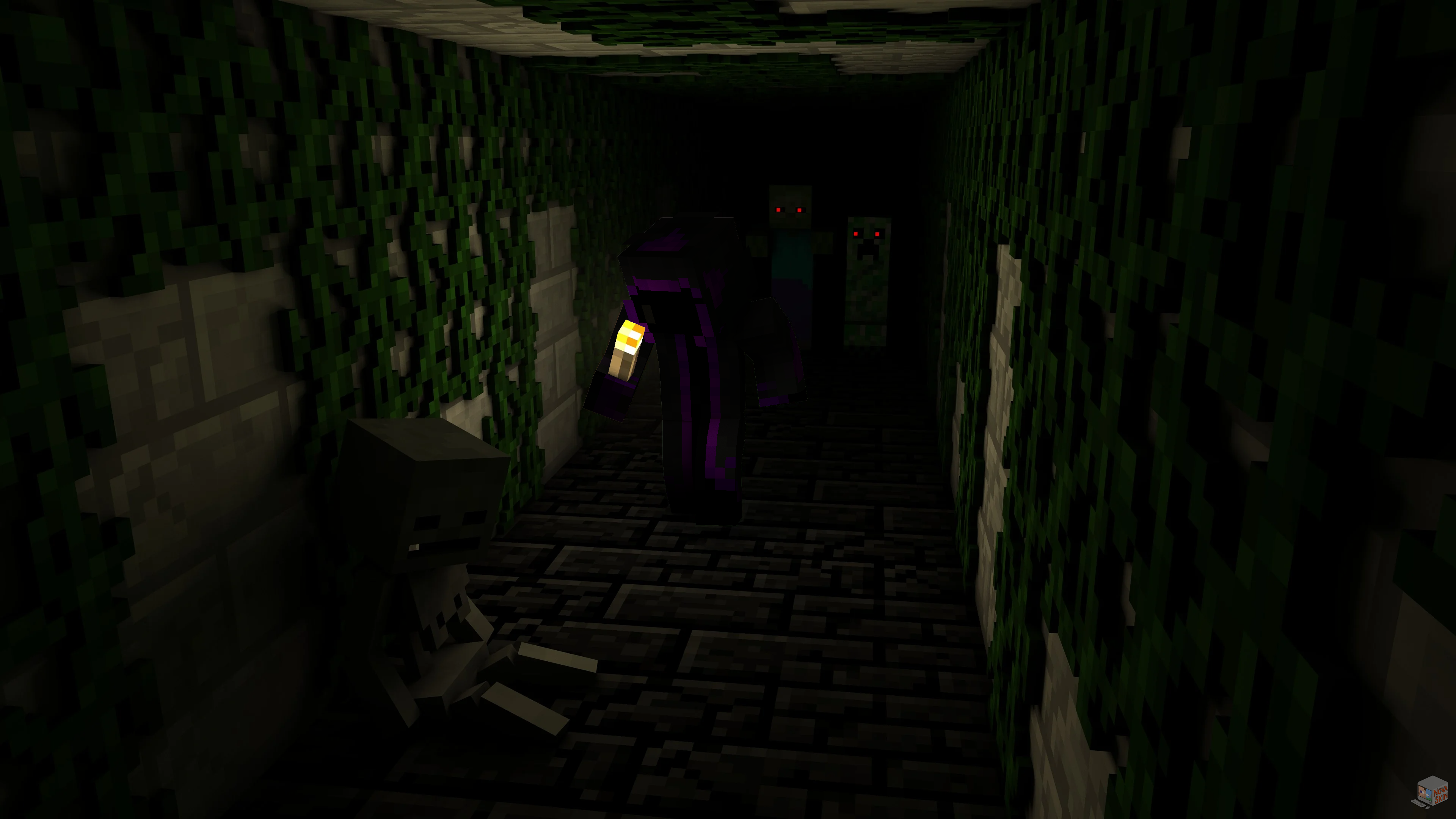 Survival image
